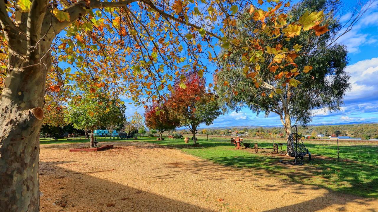 The Vineyard Motel Cowra Kültér fotó