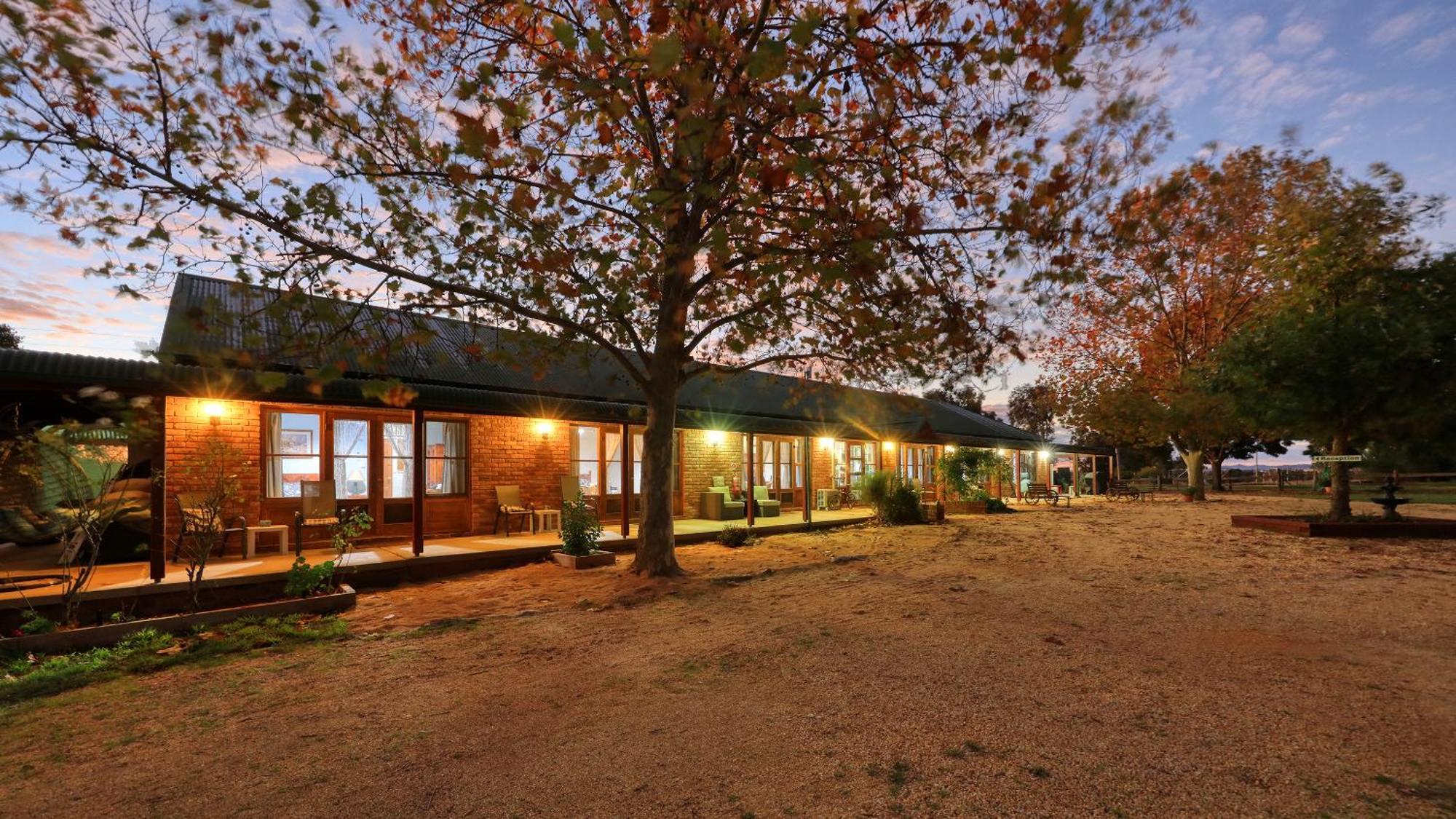 The Vineyard Motel Cowra Kültér fotó