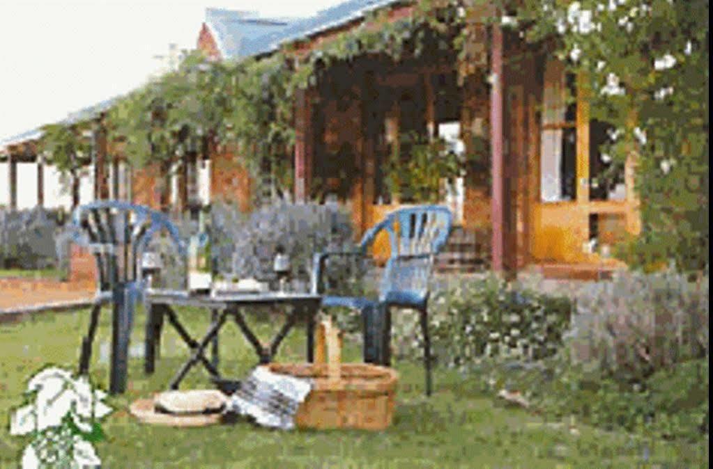 The Vineyard Motel Cowra Kültér fotó